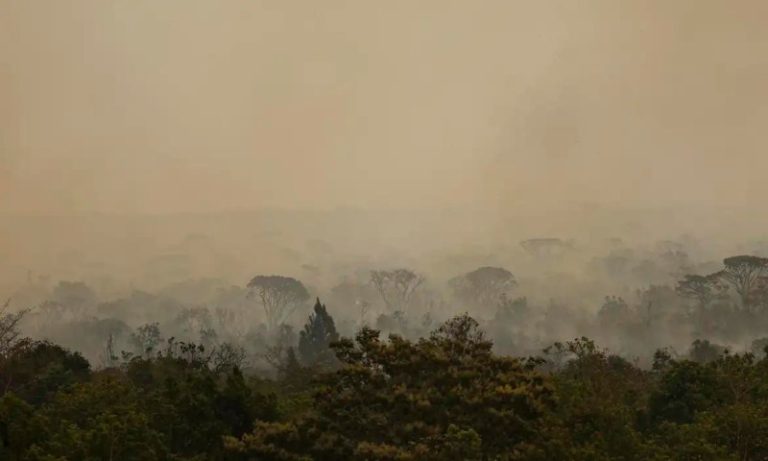 Ibama multa 242 pessoas por incêndios criminosos em 2024