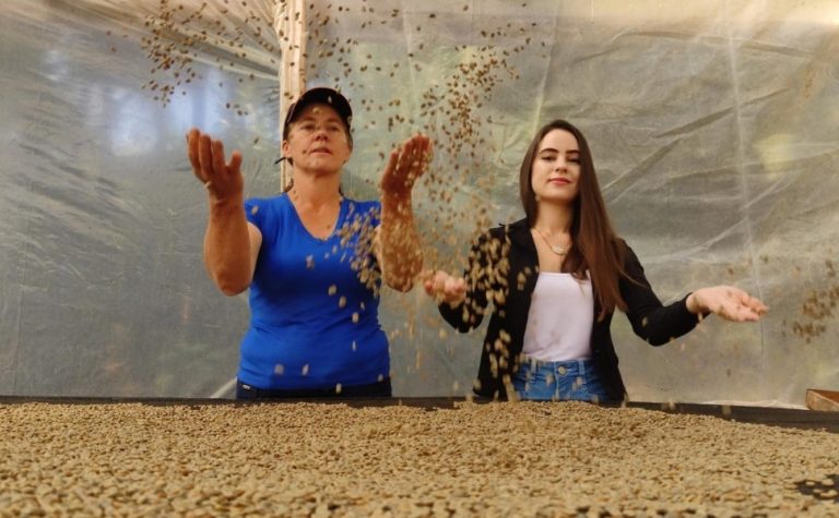“Café com Aroma de Mulher” do ES: conheça a história de família de Vargem Alta