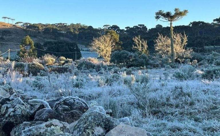 Cidade de SC tem a menor mínima do ano no Brasil e sensação térmica chega a -29°C