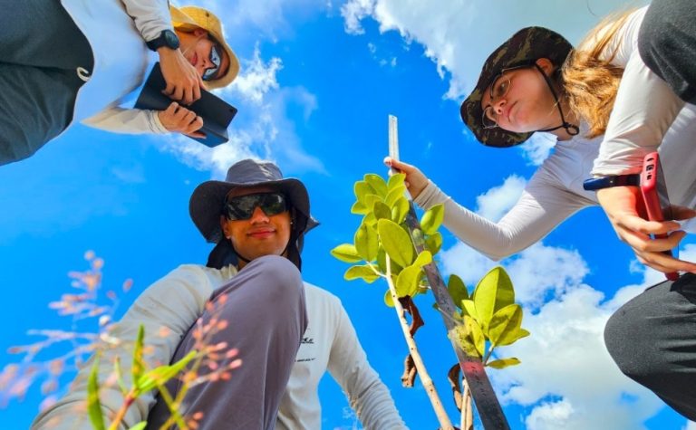Como vegetação da restinga reage às mudanças do clima?