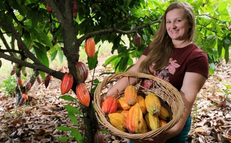 Engenheira reinventa vida profissional e se torna produtora de chocolate