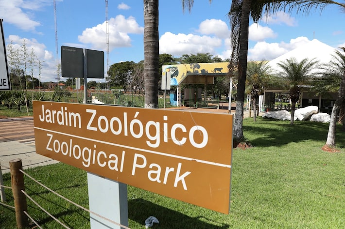 Gripe aviária: governo do DF confirma caso no Zoológico de Brasília
