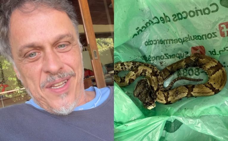 Guilherme Fontes é picado por cobra venenosa: ‘doeu tanto que nem sei explicar’