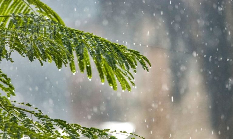 APAC emite alerta de chuva para a Região Metropolitana e Zona da Mata de Pernambuco