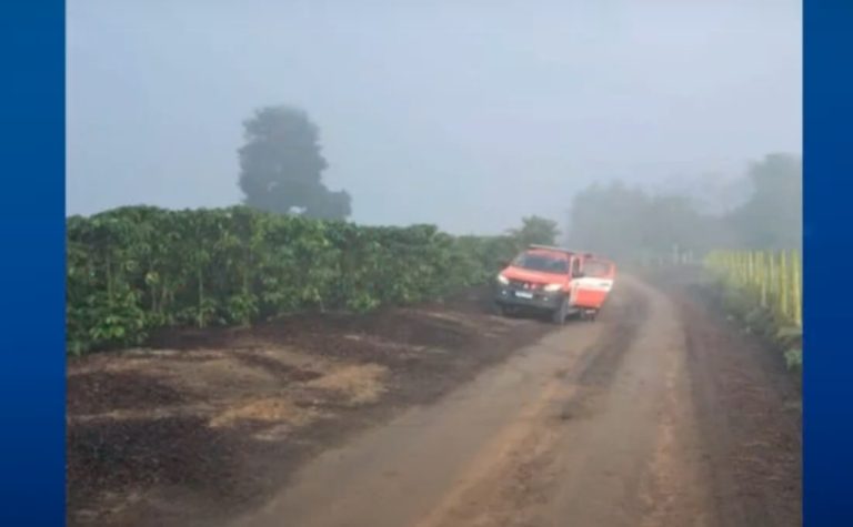 Menina de três anos sai para brincar e desaparece um cafezal no Noroeste do ES