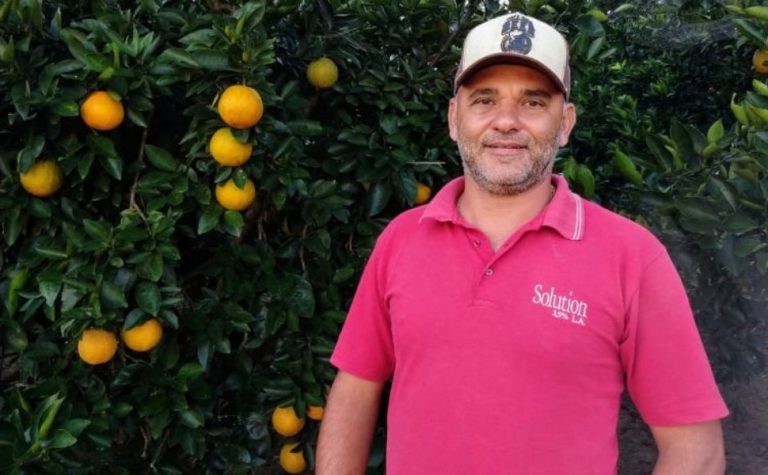 O que um produtor do ES fez para dobrar a produção de laranjas