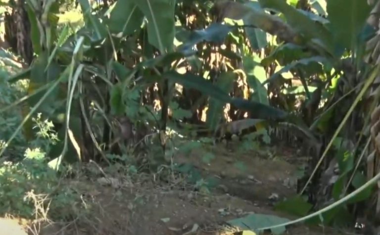 Pai é preso após arremessar bebê de quatro meses de barranco em Cariacica