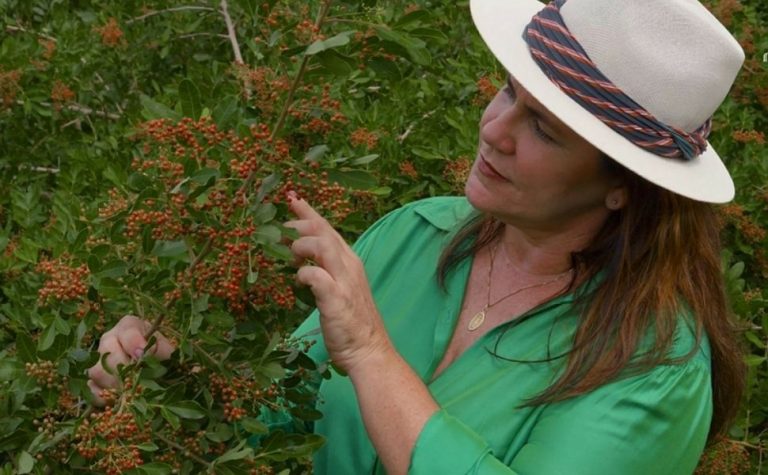 Produtora de pimenta-rosa de São Mateus fornece produto para marca de cosméticos