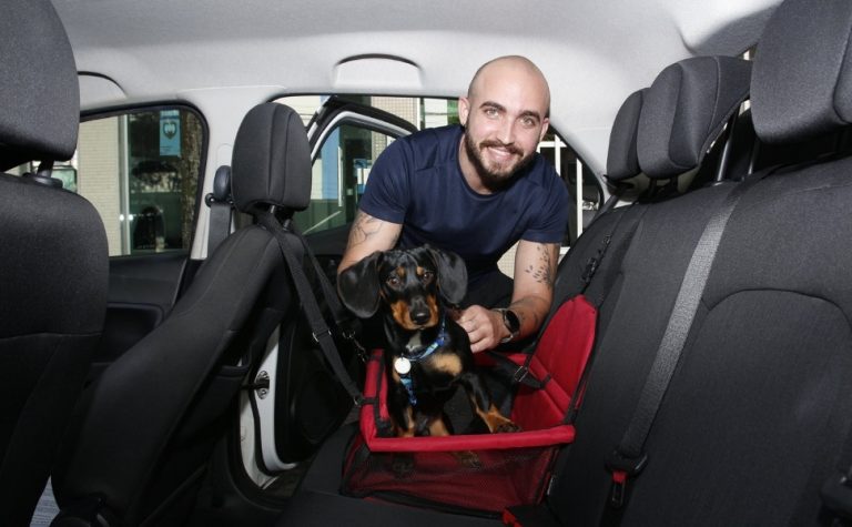 Transportar pet no carro pode render multa ao motorista; saiba quanto
