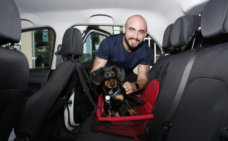 Transportar pet no carro pode render multa ao motorista; saiba quanto