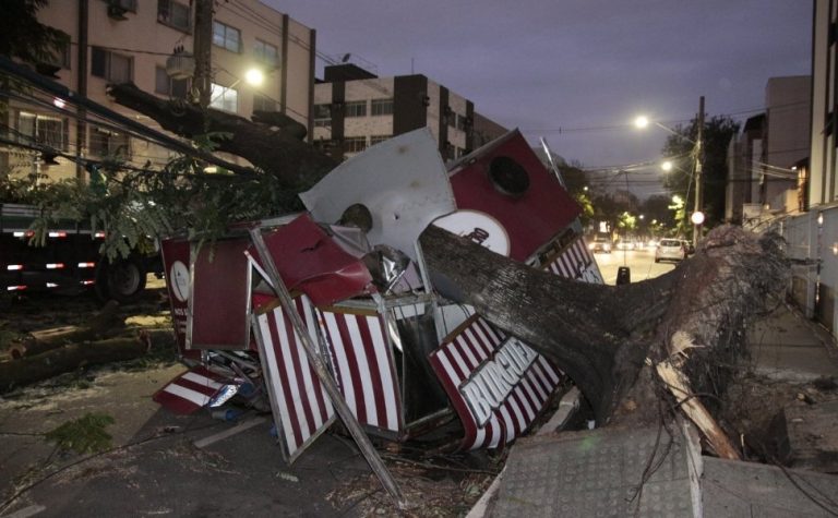 Árvore cai e atinge foodtruck em Jardim da Penha