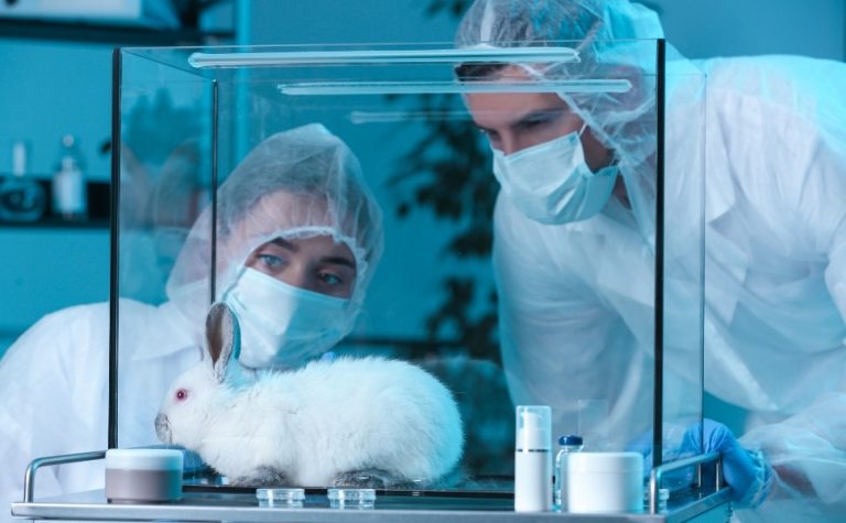 Câmara aprova projeto que proíbe uso de animais em testes de cosméticos
