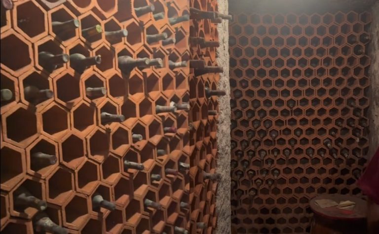 Casal compra casa em SP e acha adega secreta cheia de vinhos antigos
