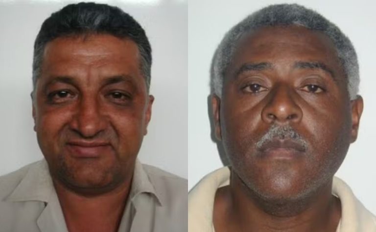 Dois funcionários do IBGE morrem ao combater incêndio florestal em Brasília