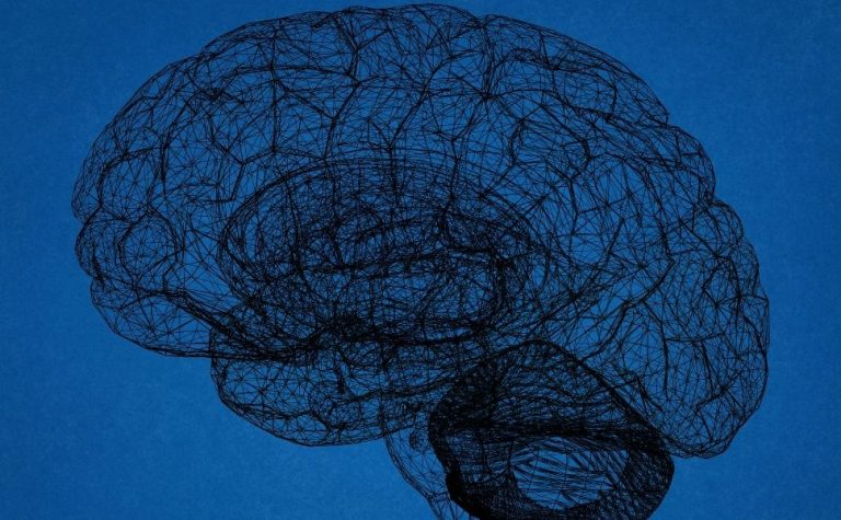 Estruturas cerebrais e sinais de psicopatia não têm relação causal direta