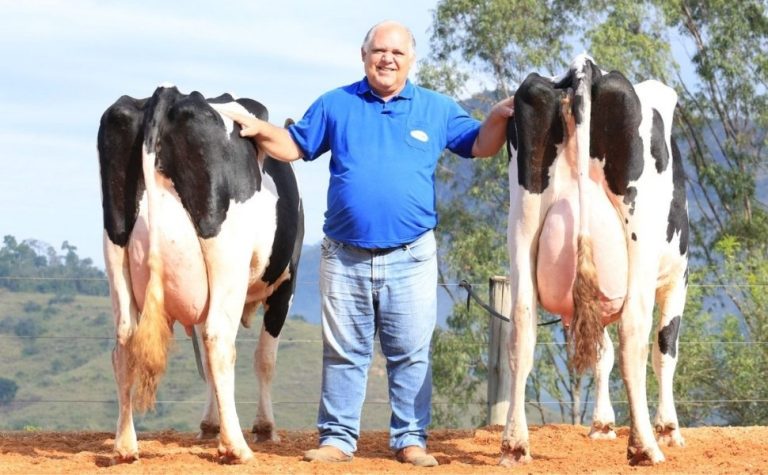 Fazenda do ES conquista prêmio de melhor criador de gado em feira internacional