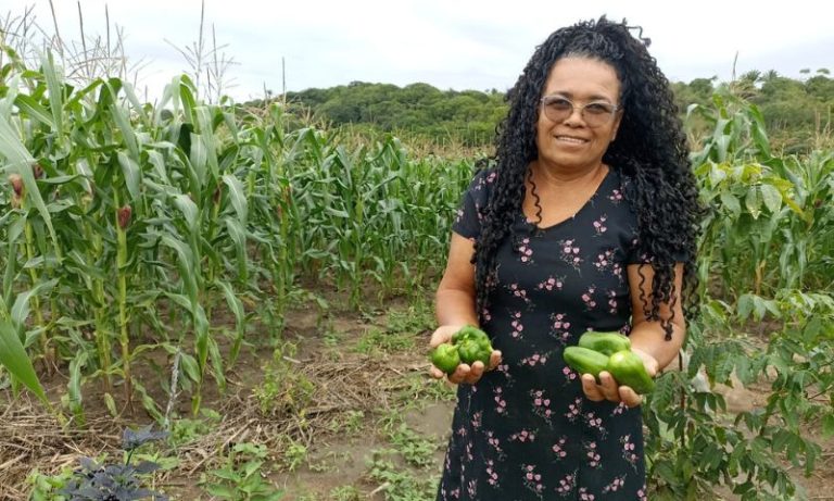 Galinhas, licores e cisternas: uma brecha no tempo que sustenta vidas no Cabo
