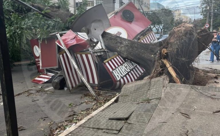 Grande Vitória tem registros de quedas de árvores após ventos fortes