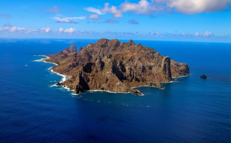 Ilha capixaba aumenta flora nativa e é modelo de restauração ambiental