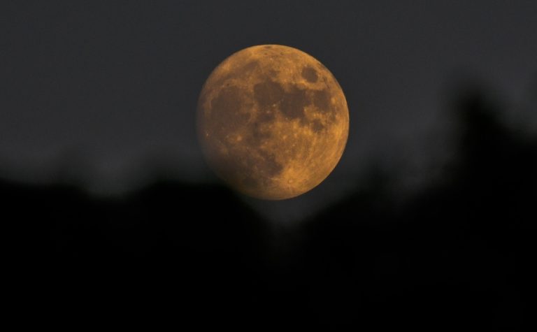 ‘Lua do veado’ aparece nesta quinta-feira; saiba qual melhor horário para observar