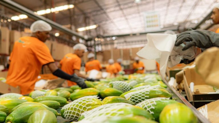 Mais 5 empresas vão investir no Espírito Santo