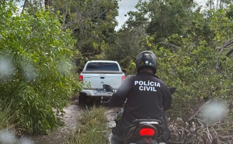 Menina de 4 anos é resgatada em plantação de eucaliptos no Norte do ES