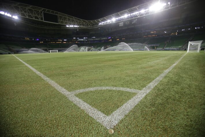 Palmeiras e WTorre planejam trocar o gramado do Allianz Parque