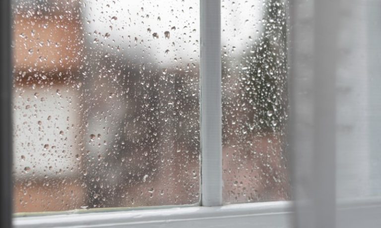 Previsão de chuva até o final da manhã desta terça-feira (29) no Grande Recife