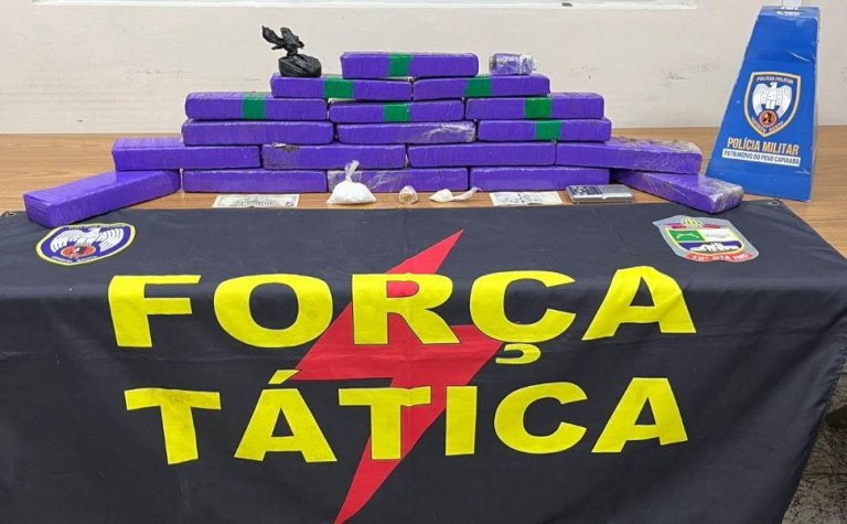 Servidor de prefeitura do ES é preso com 12 tabletes de maconha em carro oficial