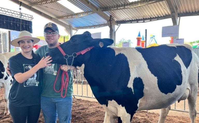 Vacas produzem 120 kg de leite por dia e vencem concurso no ES
