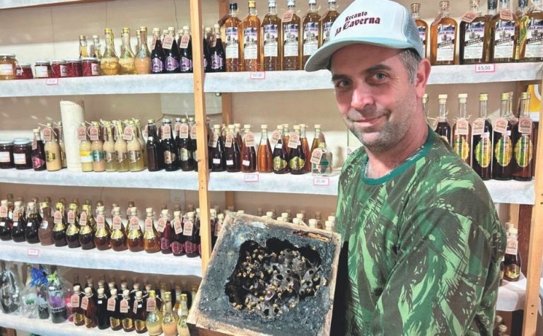 Aventura em rota com mais de 10 cavernas em Domingos Martins