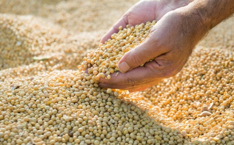 Brasil e China trabalham em protocolo bilateral para certificar carne e soja