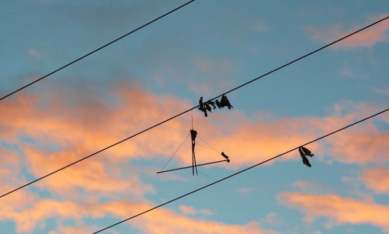 Brincadeira com pipa deixou quase 160 mil consumidores sem energia em Pernambuco