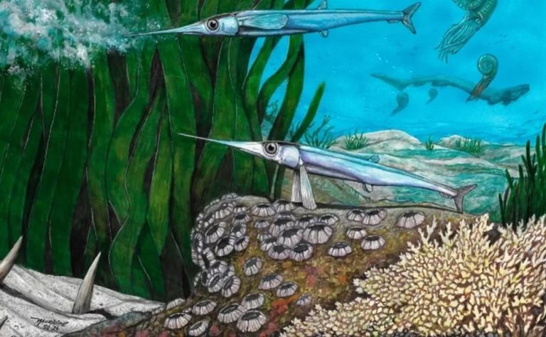 Cientistas brasileiros identificam nova espécie de peixe pré-histórico