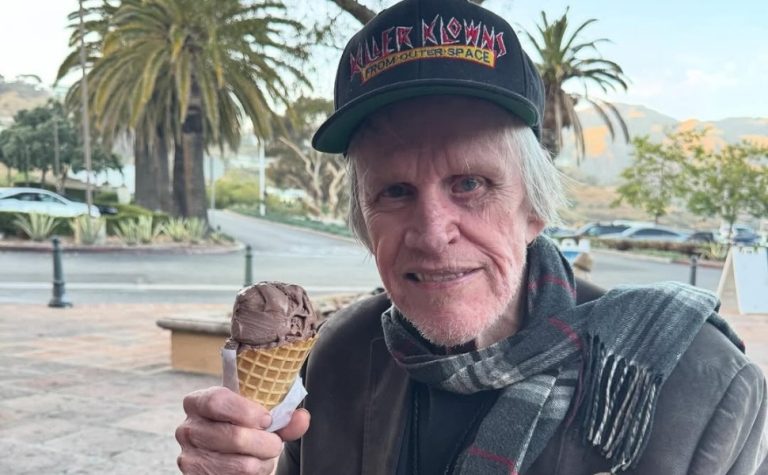 Gary Busey se declara culpado de crime sexual