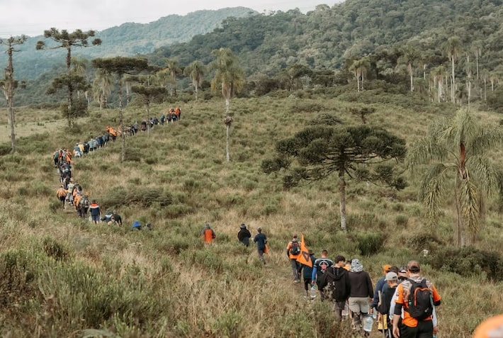 Legendários: retiro espiritual é atacado por abelhas em Goiás