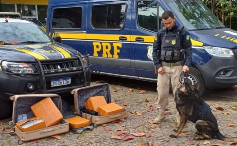 PRF prende passageiro transportando 52 kg de drogas, em Guarapari