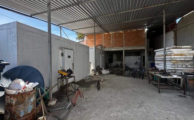 Polícia flagra furto de energia em empresa de sucatas e em fábrica de gelo na Serra