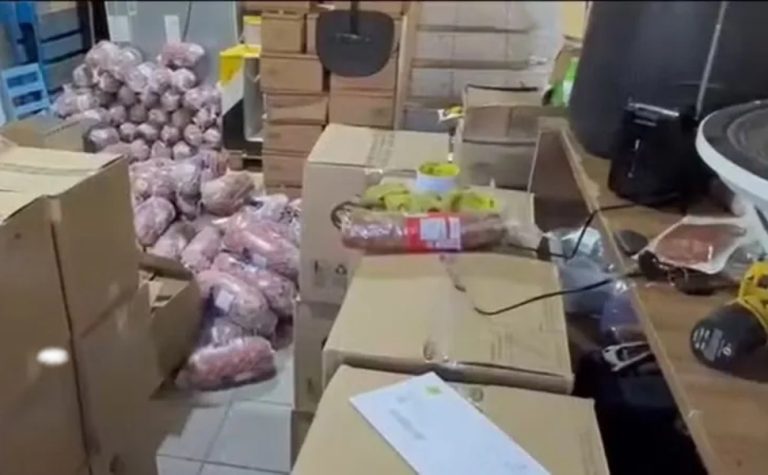 Quase 8 toneladas de frios e embutidos vencidos são apreendidos em São Paulo