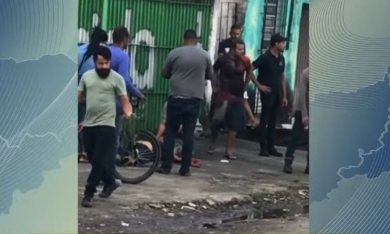 Recife mais um ataque de pitbull: até quando ignorar os riscos da raça?