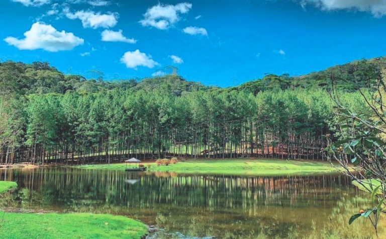 Rota das Cavernas e Plantas Medicinais: turismo científico em Domingos Martins