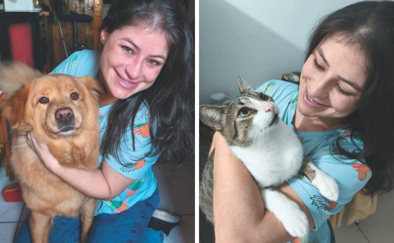 Vida Pet: como identificar e tratar otite em cães e gatos