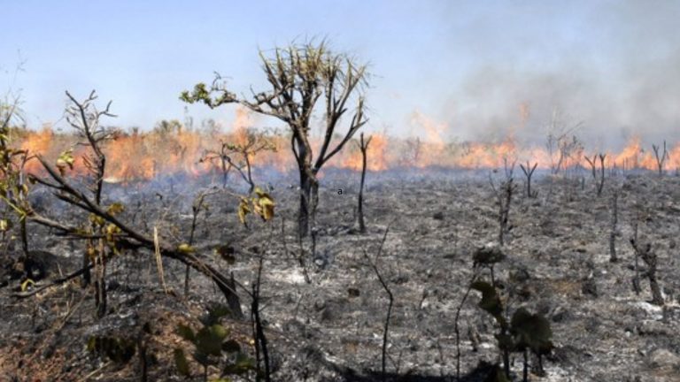 Bombeiros alertam para temporada crítica de queimadas em PE