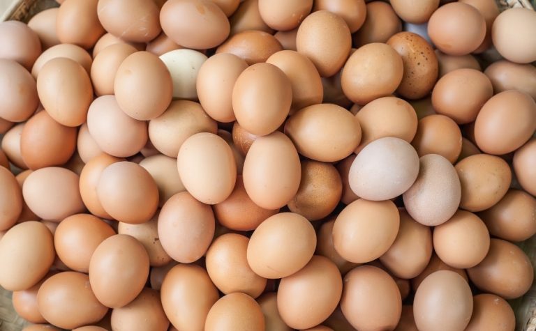 Brasil produz o equivalente a 305 ovos de galinha por habitante
