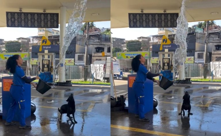 Brincadeira refrescante com cachorro em posto no ES viraliza nas redes; veja vídeo