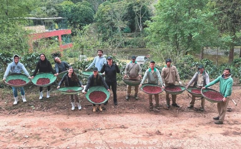 Café mais caro do Brasil é produzido em Domingos Martins