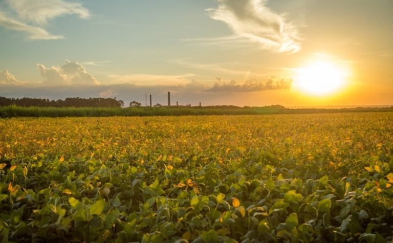 Governo anuncia R$ 12 bilhões para produtores rurais atingidos por clima extremo