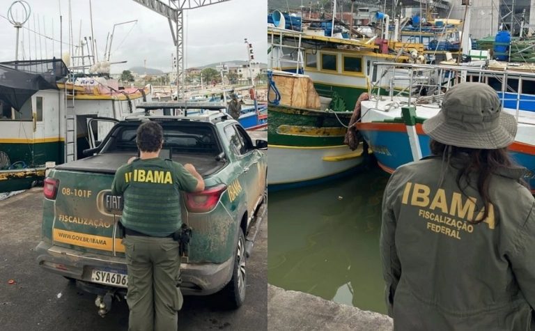 Ibama aplica R$ 22 milhões em multas em porto no Sul do ES