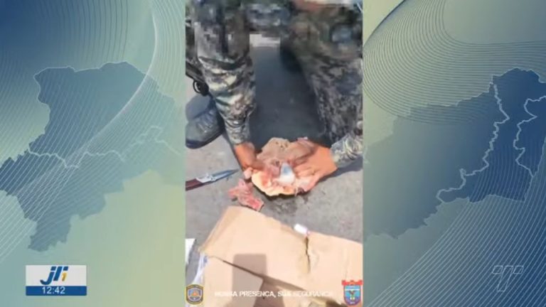 Inusitado: polícia encontra drogas escondidas em frangos congelados em Noronha