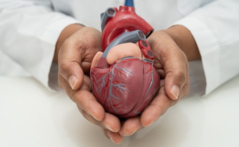 Nova diretriz prioriza saúde cardiovascular no tratamento da obesidade